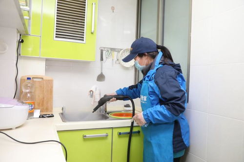 上海家政業復工潮 住家保姆緊俏，鐘點工競爭激烈，專業保潔待發掘
